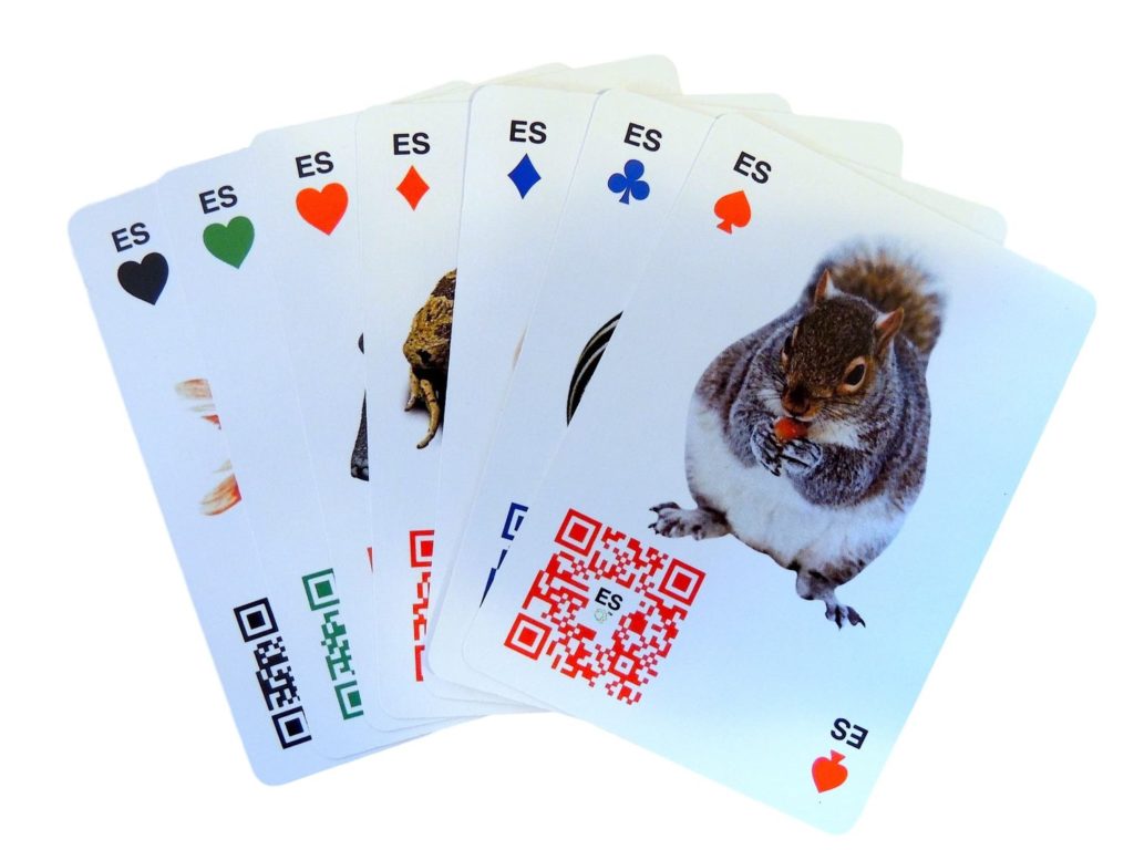 Linguacious Card Games For Kids To Learn Languages